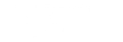 Auction Dunia